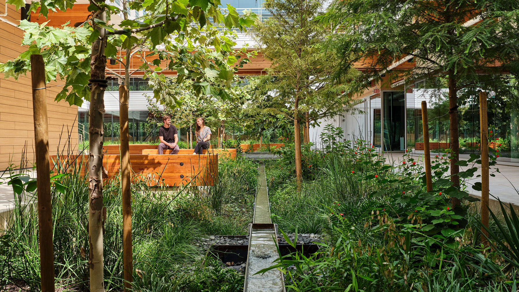 People in a planted studio courtyard