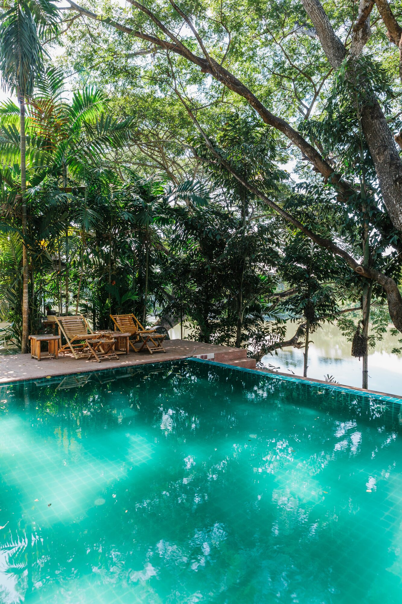 Infinity pool set within dense tropical forest